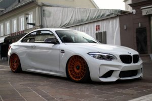 White M2.jpg