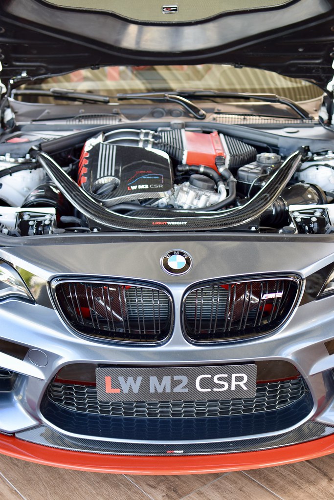 55Parts Special: Ladeluftkühler Abdeckung passend für BMW F8x M2C M2CS